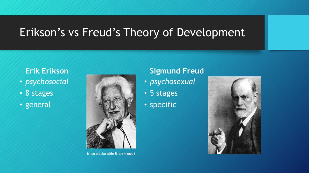 Freuds life and death theory